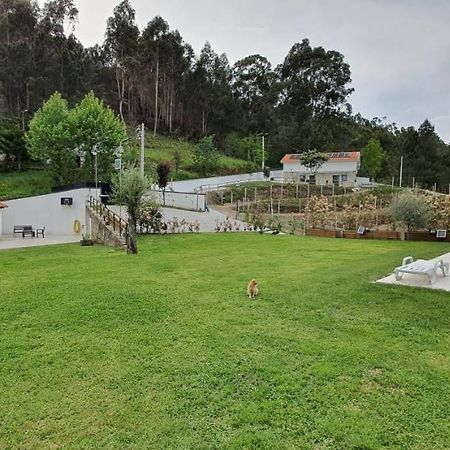 Quinta Da Tormenta -14 Pessoas- Cabeceiras De Basto 2 Casas E Piscina Privada 빌라 외부 사진